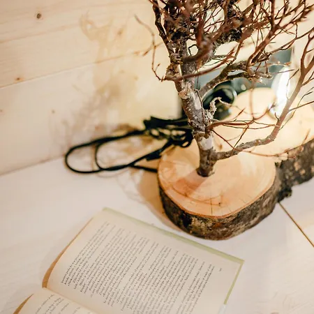 Semesterbostad Lepenatka With Sauna - I Feel Alps